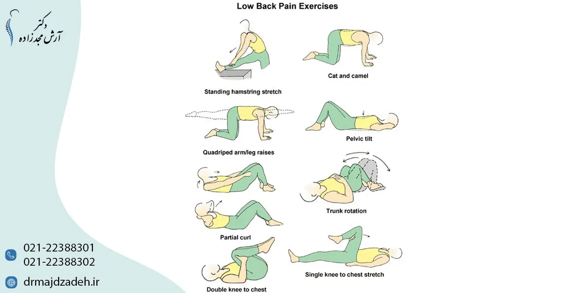 معرفی انواع ورزش برای کمر درد