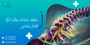 سلول بنیادی برای تنگی کانال نخاعی