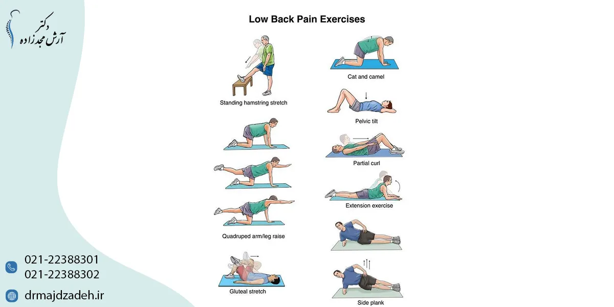 بهترین ورزش برای درمان کمر درد چیست؟