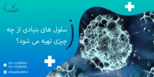 سلول های بنیادی از چه چیزی تهیه می شود