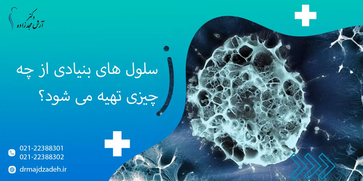 سلول های بنیادی از چه چیزی تهیه می شود